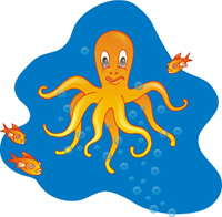 Octopus